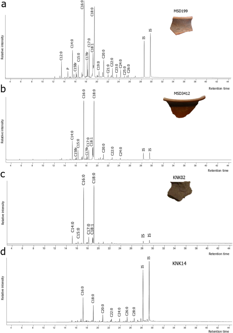 Fig. 3