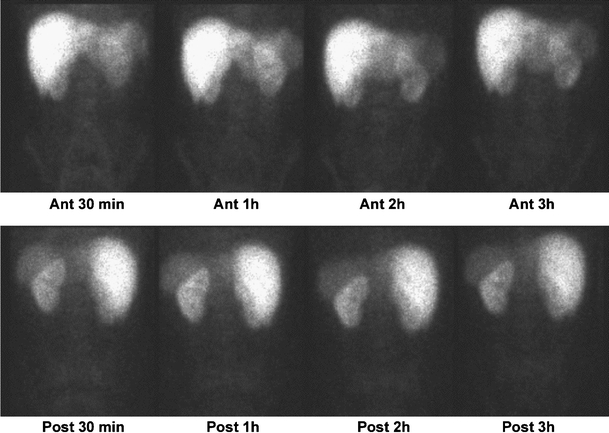 Fig. 8.