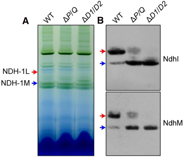 Figure 7.