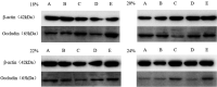FIGURE 4‐2
