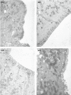 FIGURE 2‐1