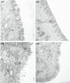 FIGURE 2‐4