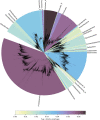 Figure 5: