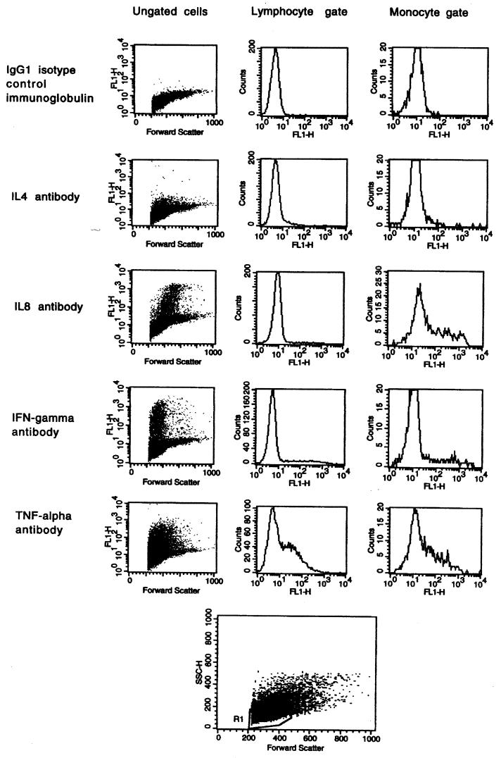 FIG. 1.