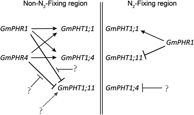 Figure 10.