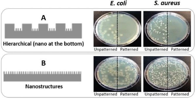 Image, graphical abstract