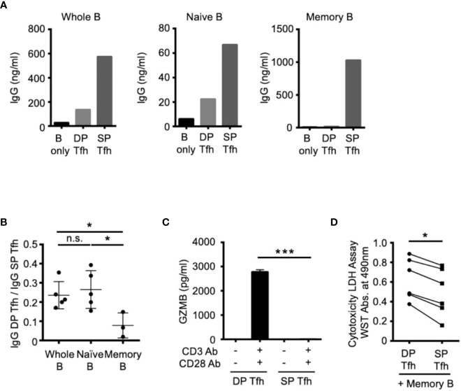 Figure 4