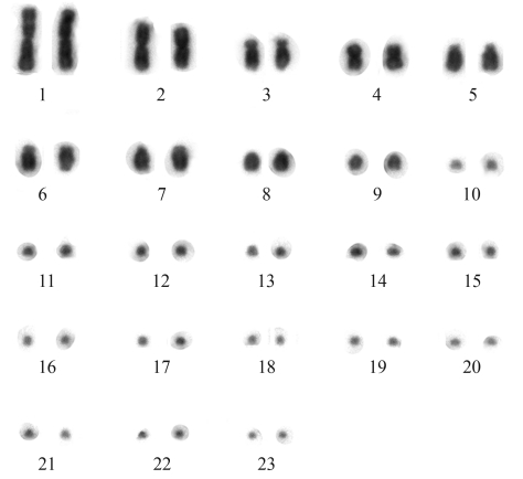 Figure 1