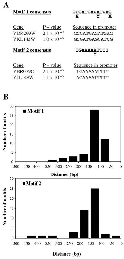 FIG. 5