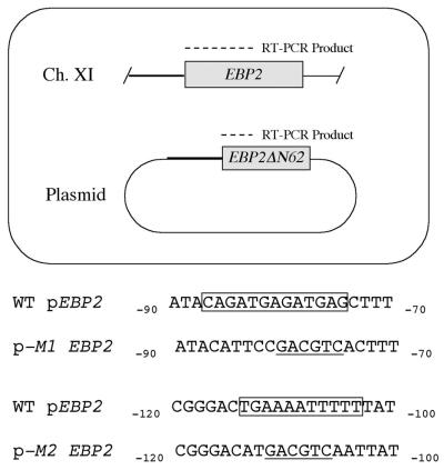 FIG. 6