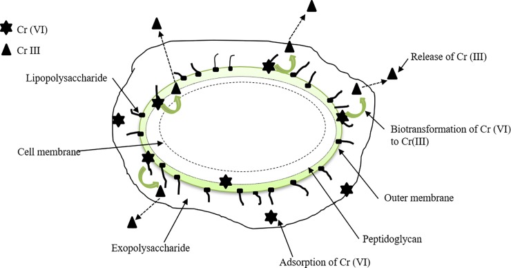 Fig 8