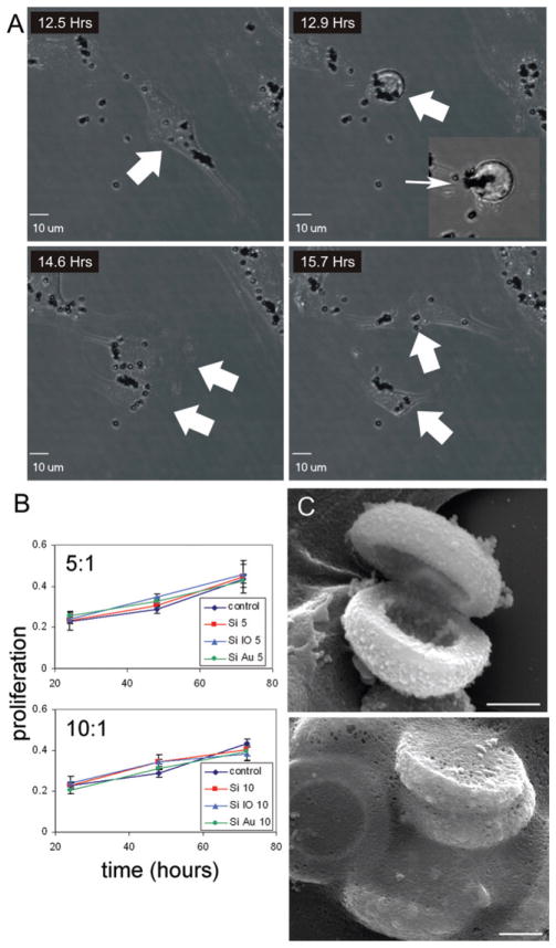 Fig. 4