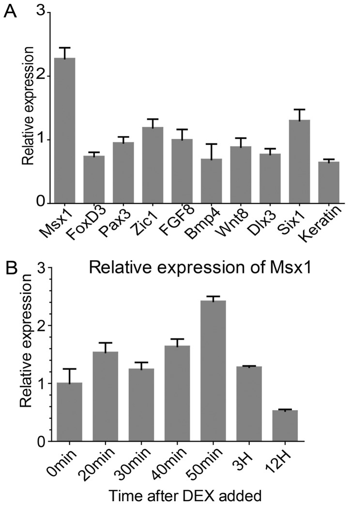 Figure 4