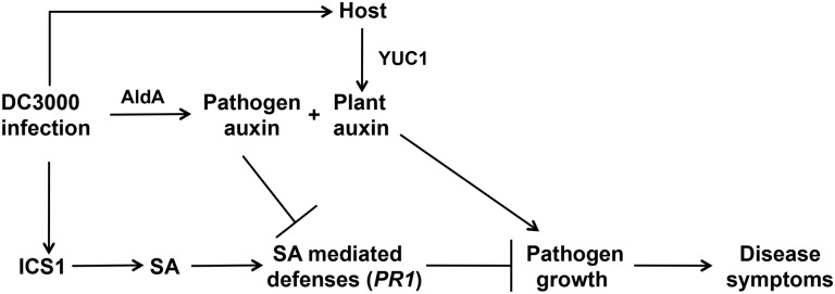 Fig 8