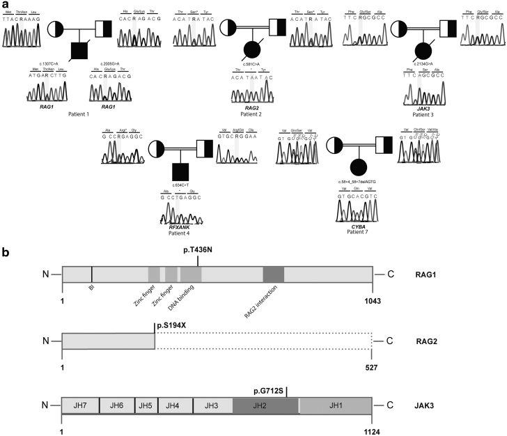 FIG. 2.