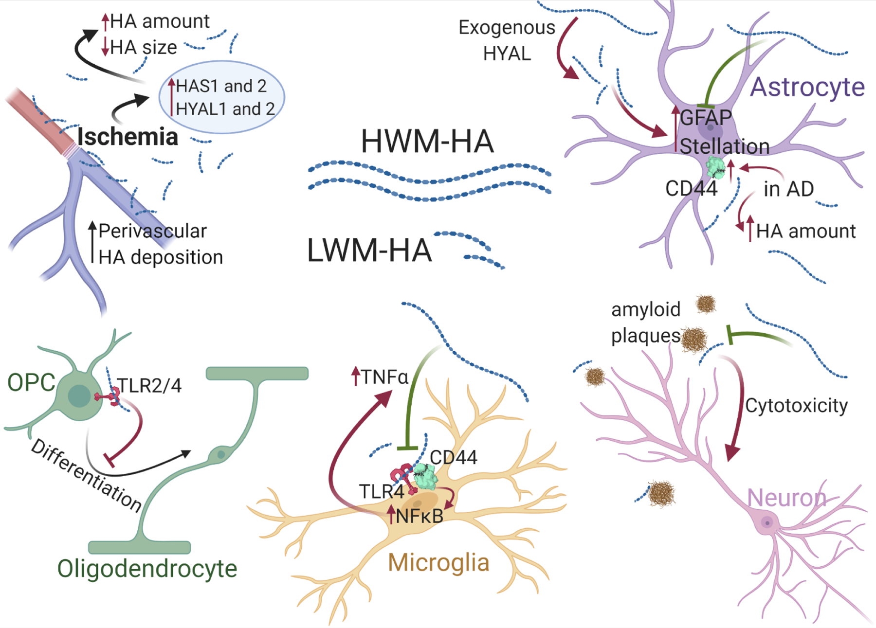 Figure 4.