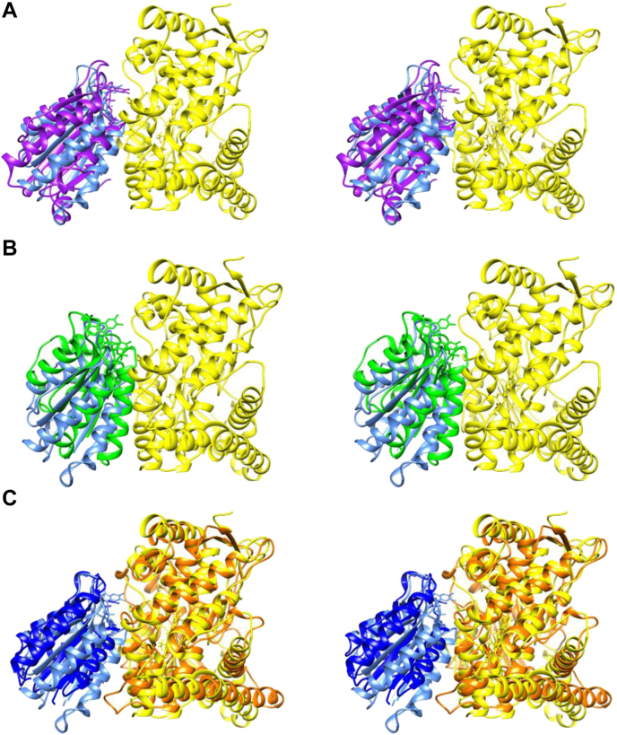 Figure 7