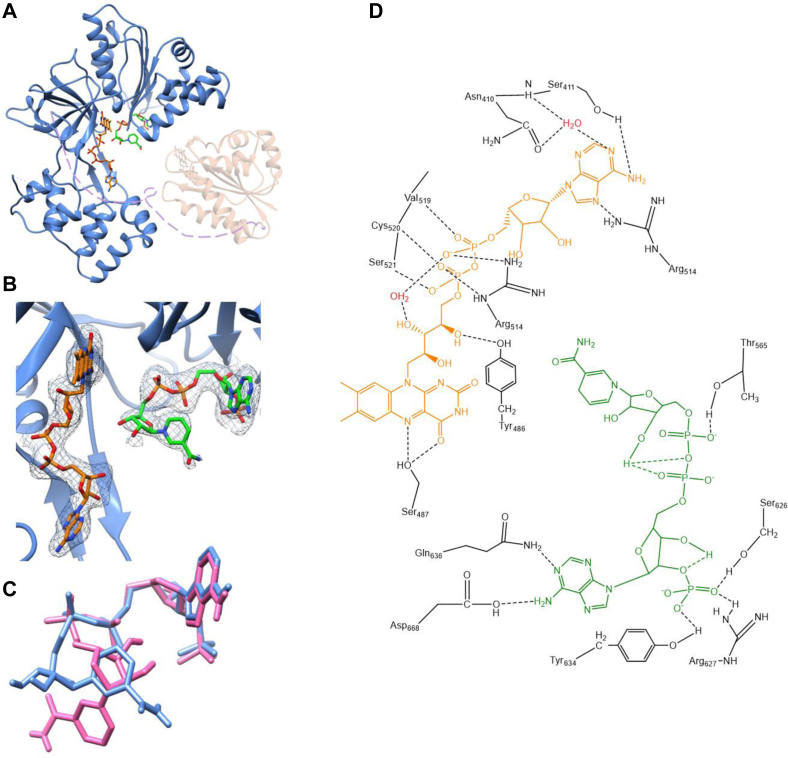 Figure 6