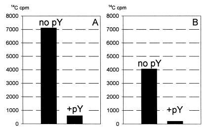 graphic file with name kve09104.jpg