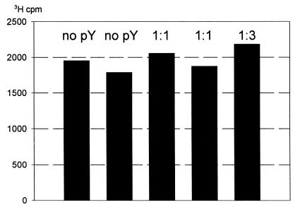 graphic file with name kve09105.jpg