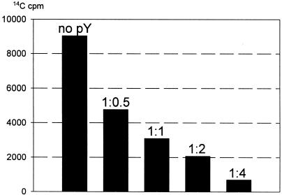 graphic file with name kve09103.jpg