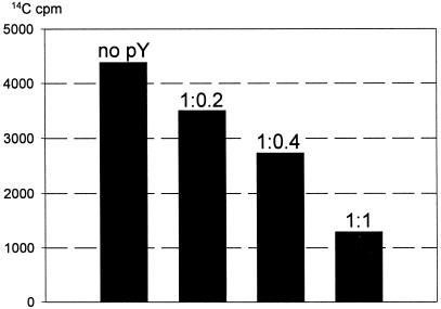 graphic file with name kve09102.jpg