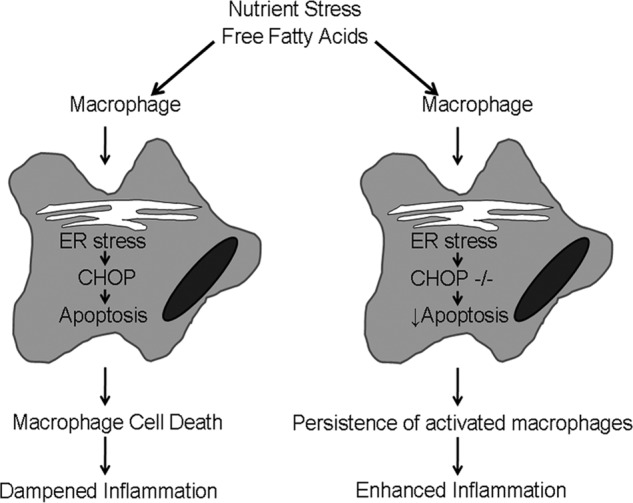 FIGURE 12.