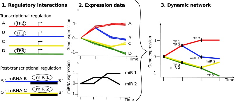 Fig. 1.