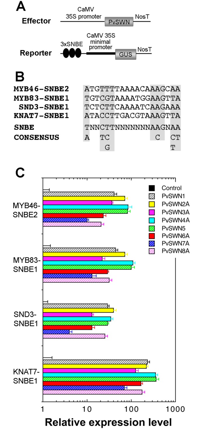 Fig 9