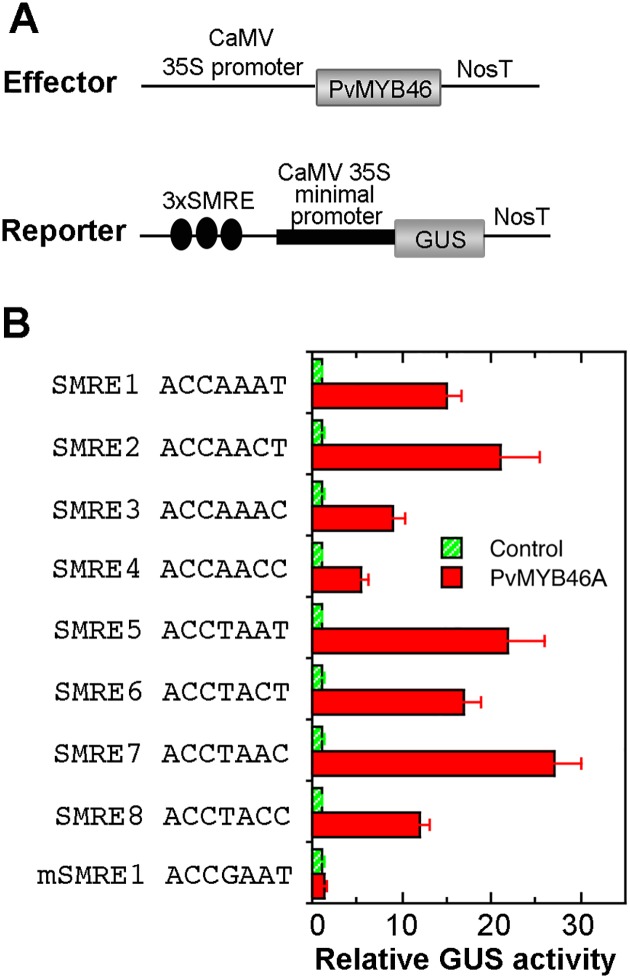 Fig 12