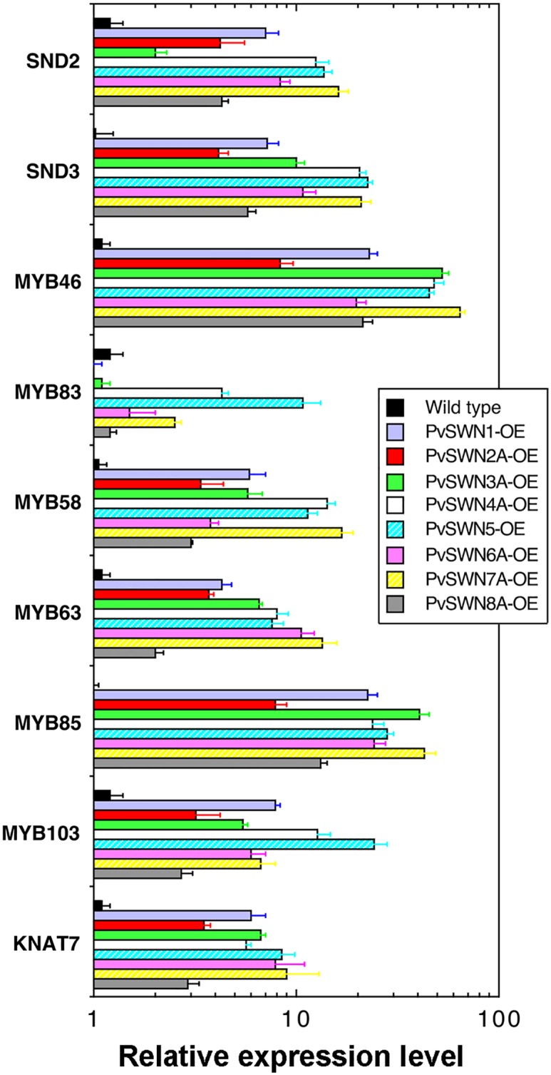 Fig 6