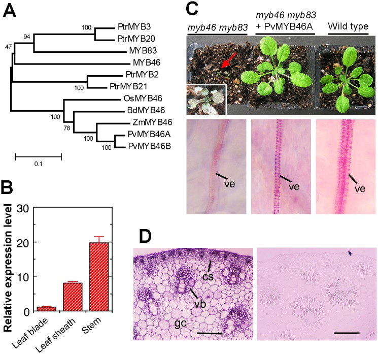 Fig 10