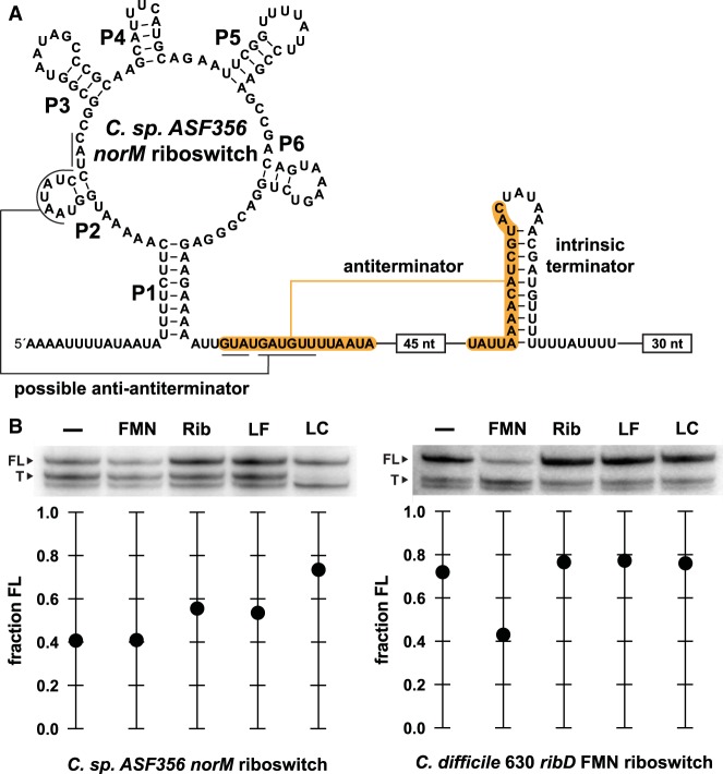 FIGURE 4.