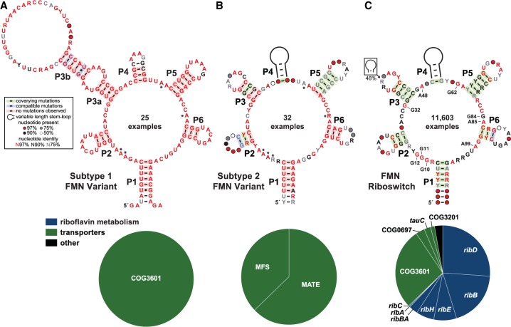 FIGURE 1.