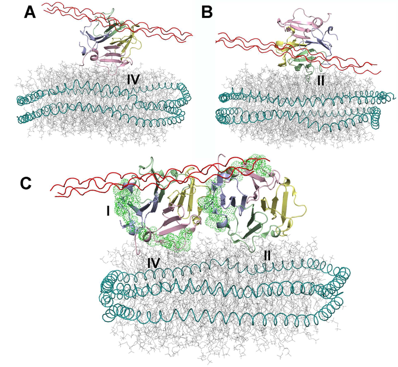 Figure 5.