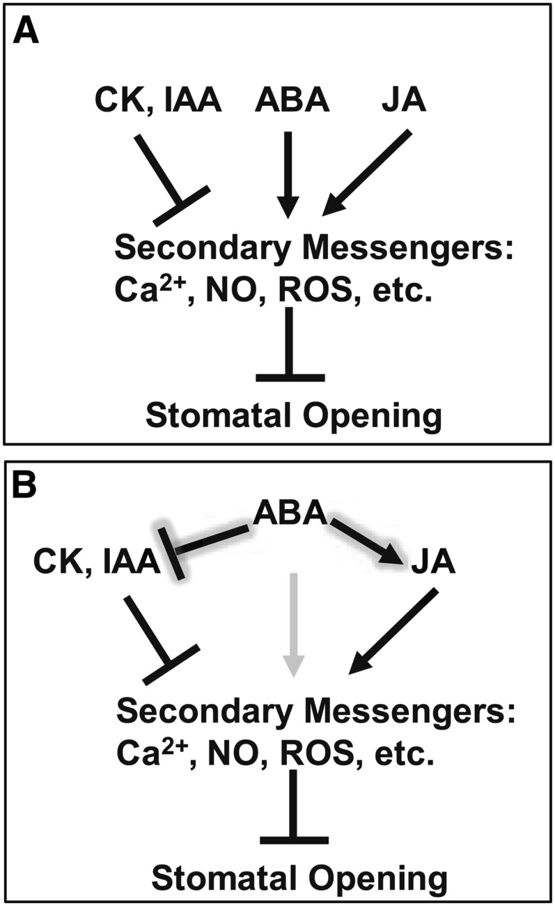 Figure 9.