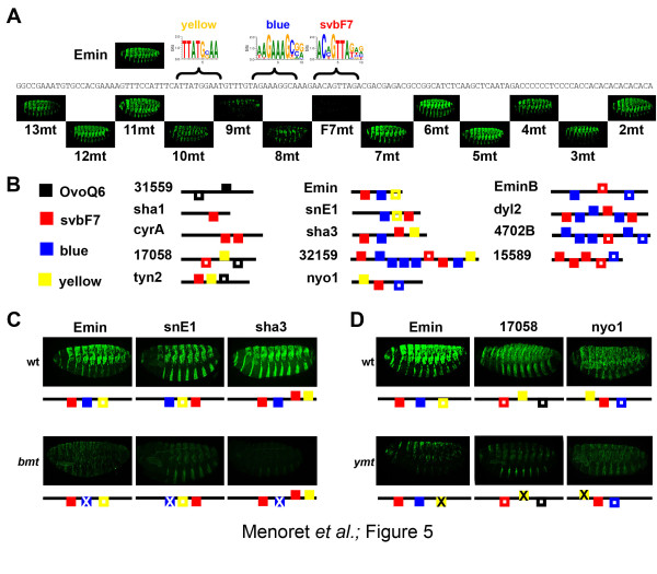 Figure 5