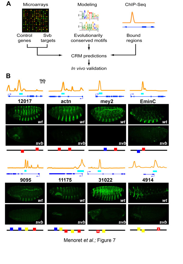 Figure 7