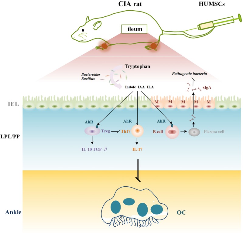 FIGURE 10