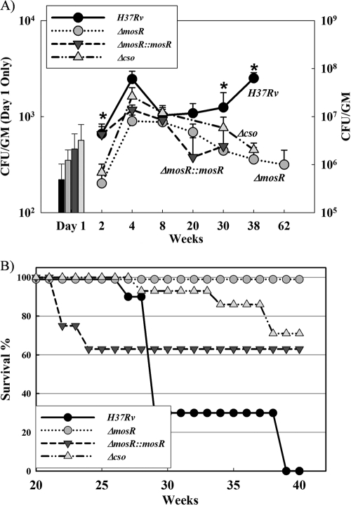 FIG. 6.