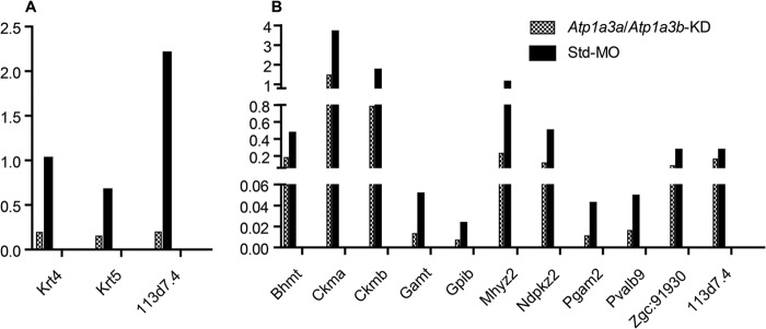 FIGURE 7.