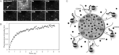 Figure 7.