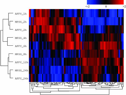 Fig. 4.