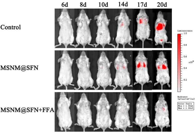 Figure 6