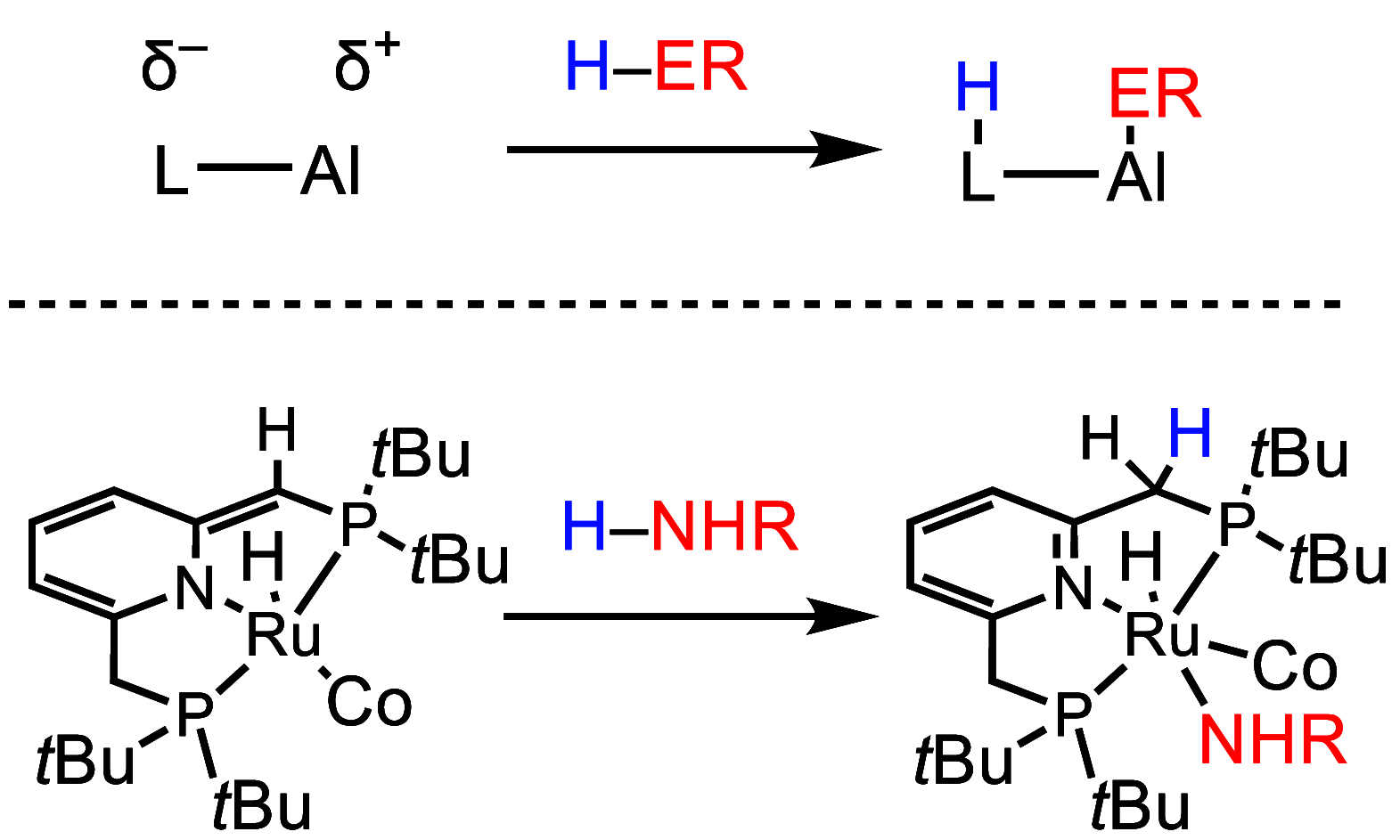 Scheme 7