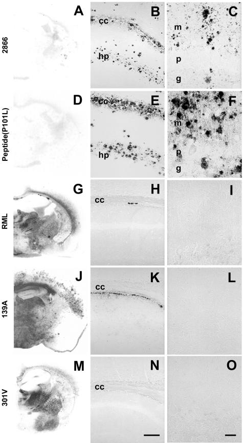 FIG.2.