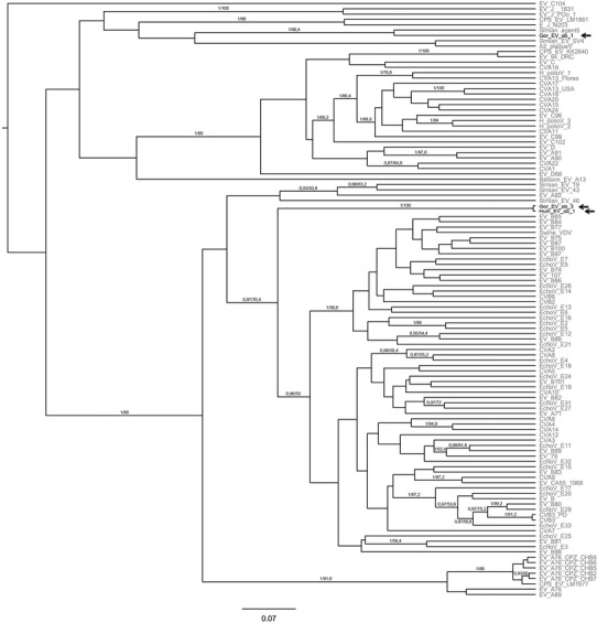 Figure 2