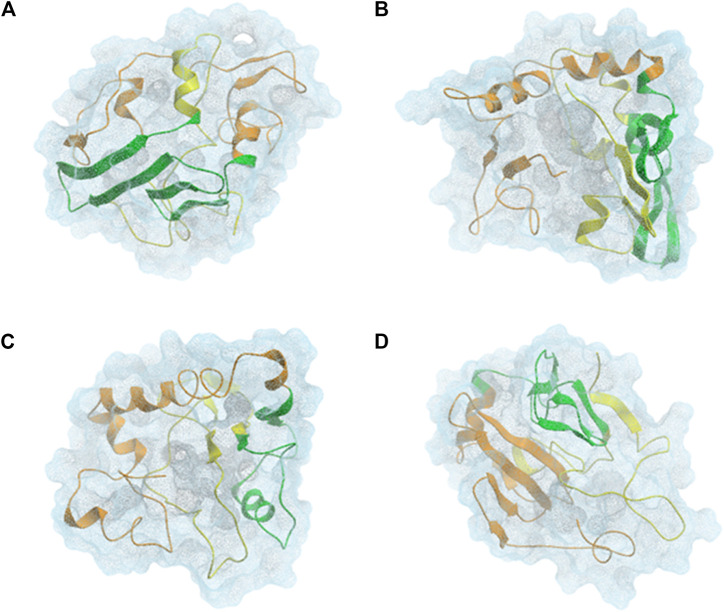 FIGURE 3