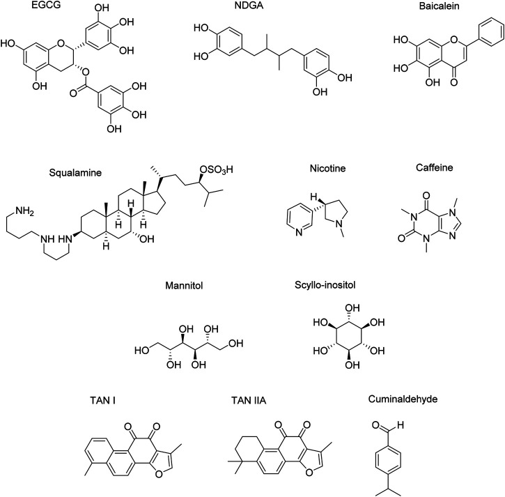 FIGURE 12