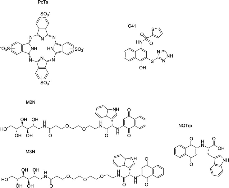 FIGURE 13